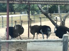 -西安秦岭野生动物园