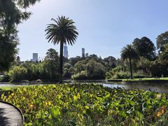 -墨尔本皇家植物园