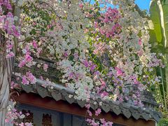 -深圳国际园林花卉博览园