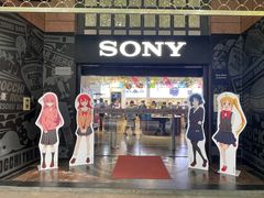 -Sony Store 索尼(上海淮海中路店)
