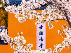 -鸡鸣寺