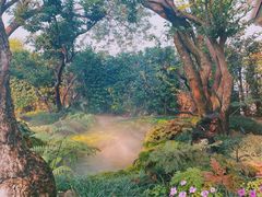 -Chom Cafe and Restaurant