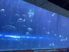 -华夏文旅西安度假区