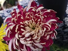 -上方山森林动物世界