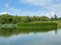 -溱湖国家湿地公园