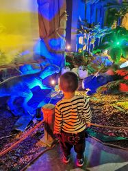 -恐龙探索乐园(磁器口店)