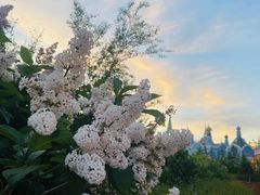 -俄罗斯国家大马戏团