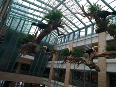 -大族广场Mall&More