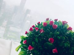 -广州塔晖粤轩中餐厅