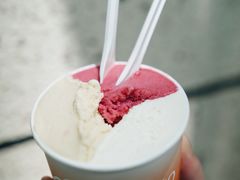 -Dip in Gelato(富民路店)