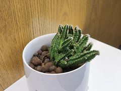 -鲸渝眼镜·浅目视光(春熙路店)