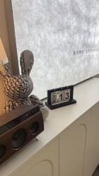 -芮悦·璀璨无创洗眉·专业洗眼线·专业洗唇