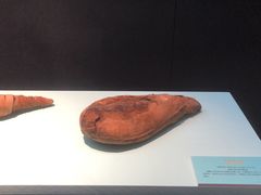 -浙江西湖美术馆