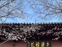 -牛首山文化旅游区