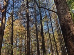 -艾溪湖湿地公园