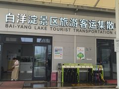 -白洋淀景区