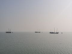 -贡湖湾湿地公园