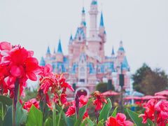 -上海迪士尼度假区