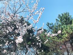 -玲珑塔公园