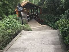 -天赐温泉