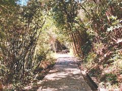 -广州白江湖森林公园