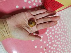 -小宝栗子(嘉华国际商业中心店)