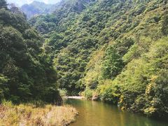 -龙湾潭国家森林公园