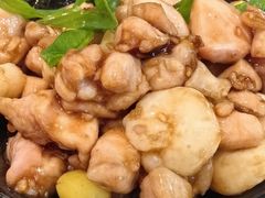 -丁老爷子苏香圆
