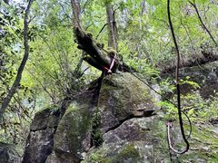 -大鄣山卧龙谷景区
