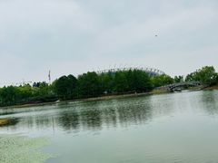 -贡湖湾湿地公园