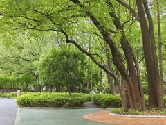 -徐家汇源景区-衡山公园