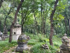 -北京上方山国家森林公园