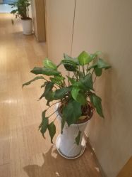 -重庆星宸整形美容医院