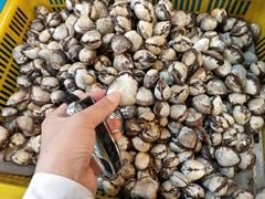 -东河市场