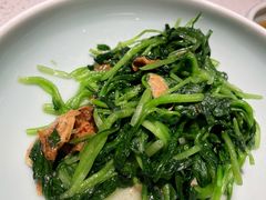 邹山腐皮鸡毛菜-竹外桃花·江南小酒馆(SKP·S店)
