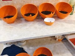 -德天下自助水饺(海洪店)