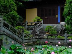 -慧因高丽寺
