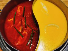 -青瓷火锅料理(西单大悦城店)