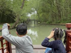 -同里国家湿地公园