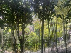 -宜春明月山维景国际温泉度假酒店