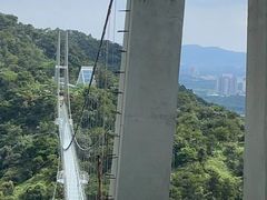 -南丹山森林王国