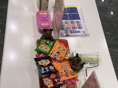 -宠爱国际动物医院· 猫科· 外科·中兽医(长白店)