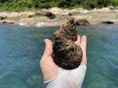 -巽寮湾