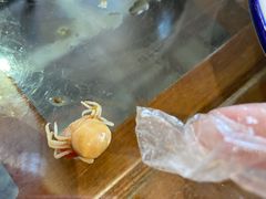 -良师门滨海人家·海鲜·家常菜(滨海城店)