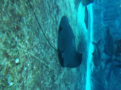 河川生态园-河川生态园