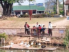 -王借岗森林公园