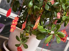 -小船渔村•大连菜•大连焖鱼(黄河路店)