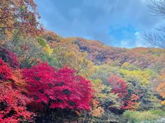 -关门山森林公园