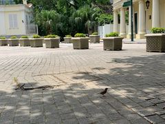 -龙环葡韵住宅式博物馆