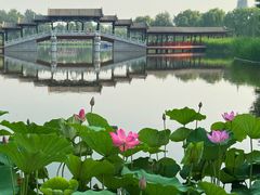 -西海子公园